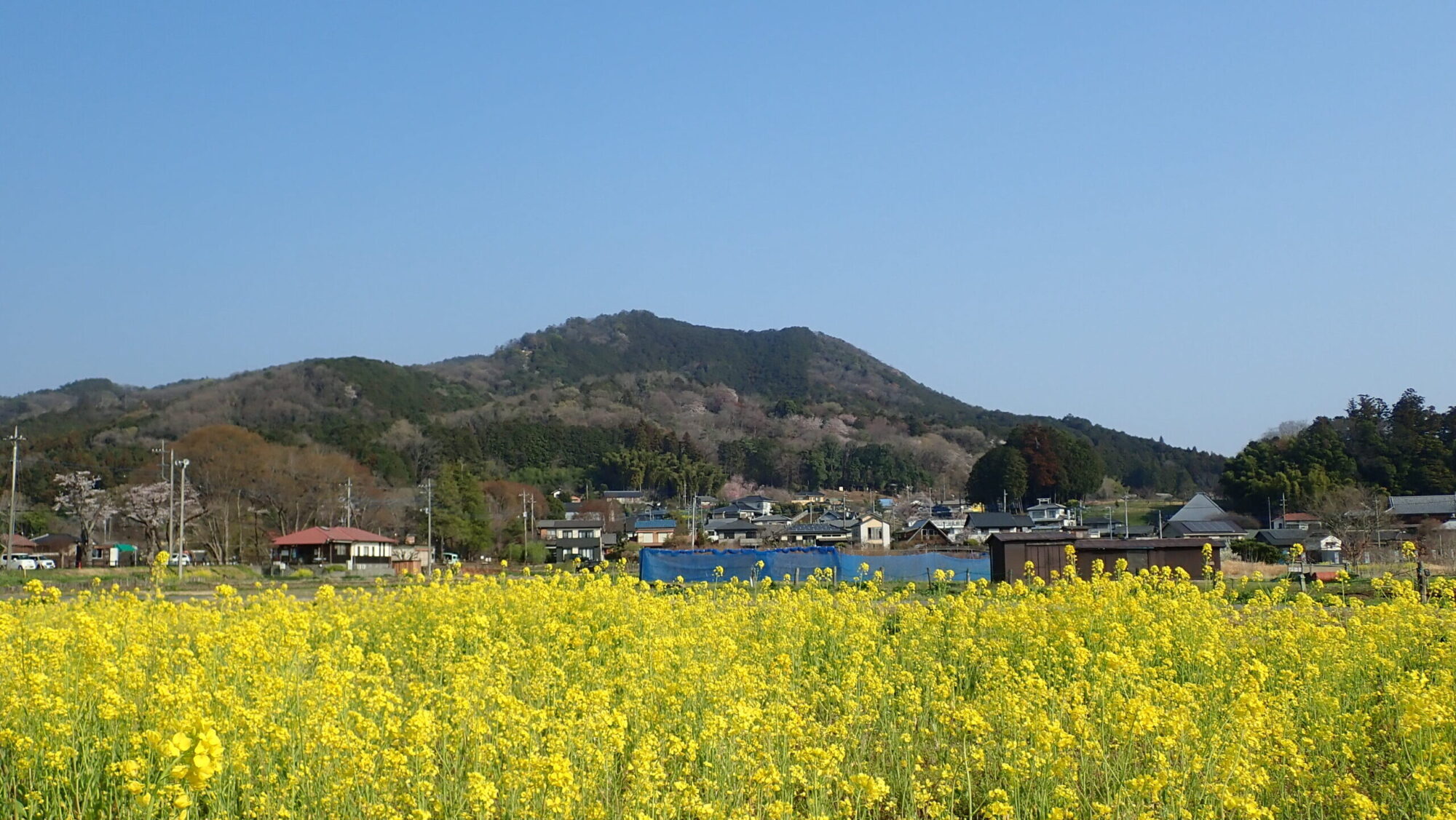 hiwadasan1